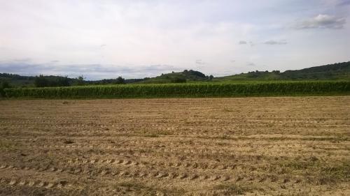 www wp 20170715 17 37 57 pro