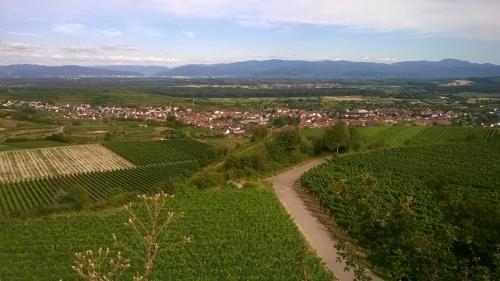 www wp 20170715 18 04 12 pro